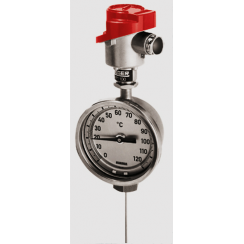 Rueger combination thermometer & thermosensor