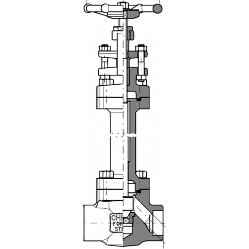 Douglas Chero cryogenic gate & globe valve