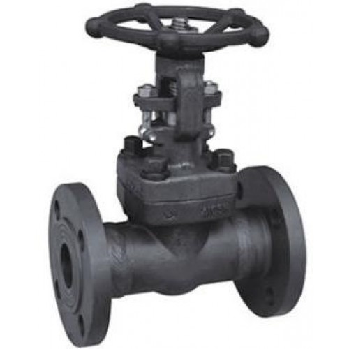 Douglas Chero forged steel & forged stainless steel gate valve