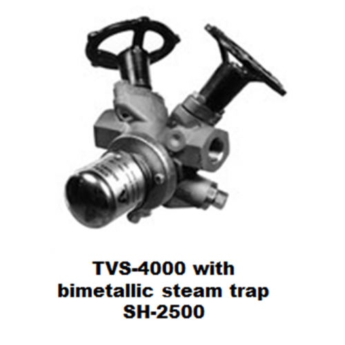 Armstrong TVS4000 steam trap station